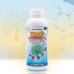 Phân bón rễ - Kích rễ R7