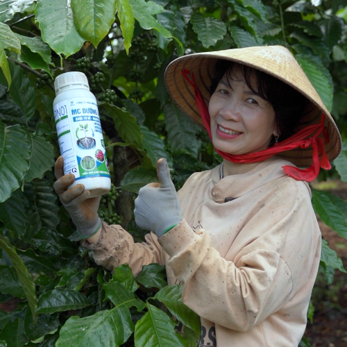 MUA THUỐC BẢO VỆ THỰC VẬT MINH CHÂU Ở ĐÂU? DANH SÁCH ĐẠI LÝ CÔNG TY MINH CHÂU GROUP
