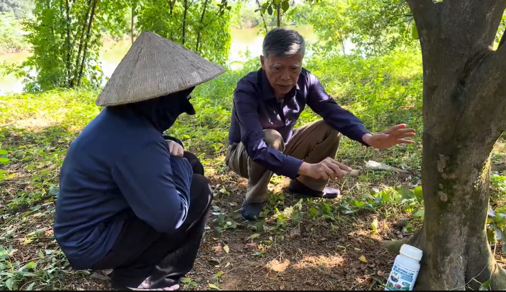 cong-ty-minh-chau-group-huong-toi-nong-nghiep-xanh