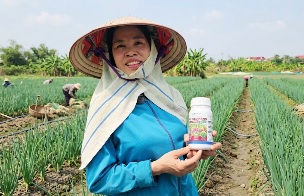 MC SIÊU HÀNH MINH CHÂU GROUP: NỞ CỔ HÀNH, CỨNG DỌC, DÀY LÁ, BUNG CỦ MẠNH