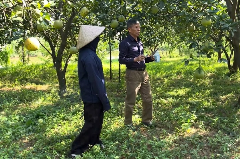 TỐI ƯU CHI PHÍ VẬT TƯ NÔNG NGHIỆP CÙNG CÔNG TY MINH CHÂU GROUP