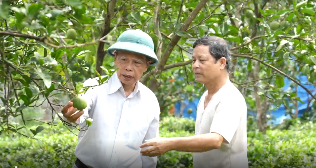 MINH CHÂU GROUP HƯỚNG TỚI NÔNG NGHIỆP XANH VỚI DÒNG SẢN PHẨM AN TOÀN