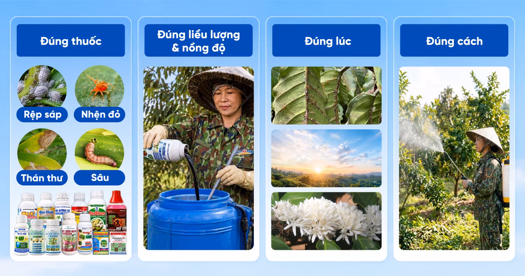 HƯỚNG DẪN SỬ DỤNG THUỐC BẢO VỆ THỰC VẬT MINH CHÂU AN TOÀN VÀ HIỆU QUẢ